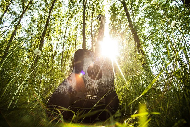 森とギター画像